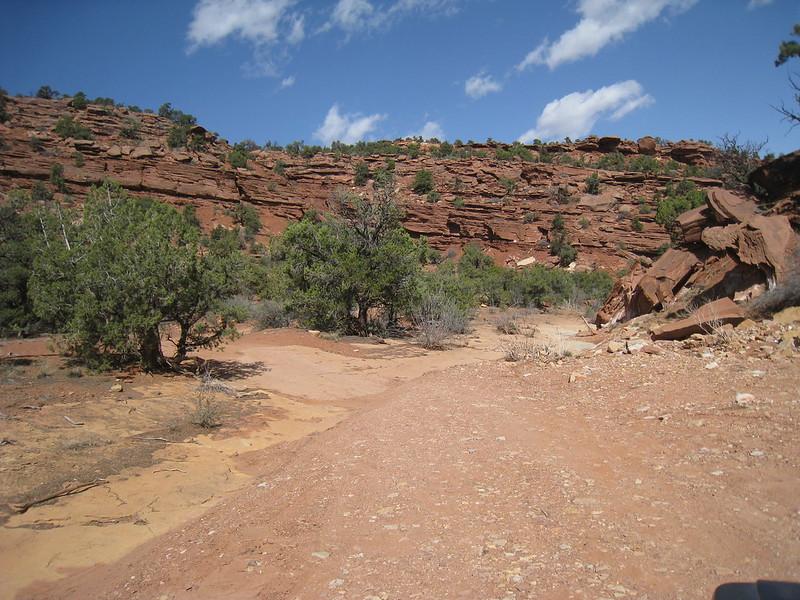 Dirt path through a desert canyon with red rock walls and sparse green trees.
