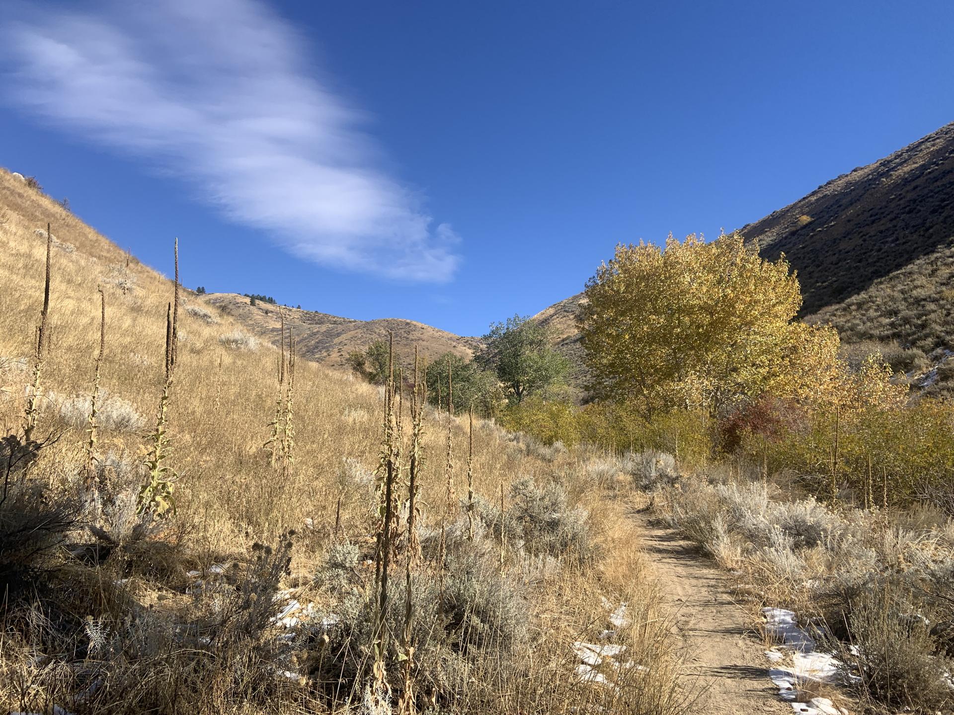 A dirt trail winds through dry hills with autumn trees under a bright blue sky.