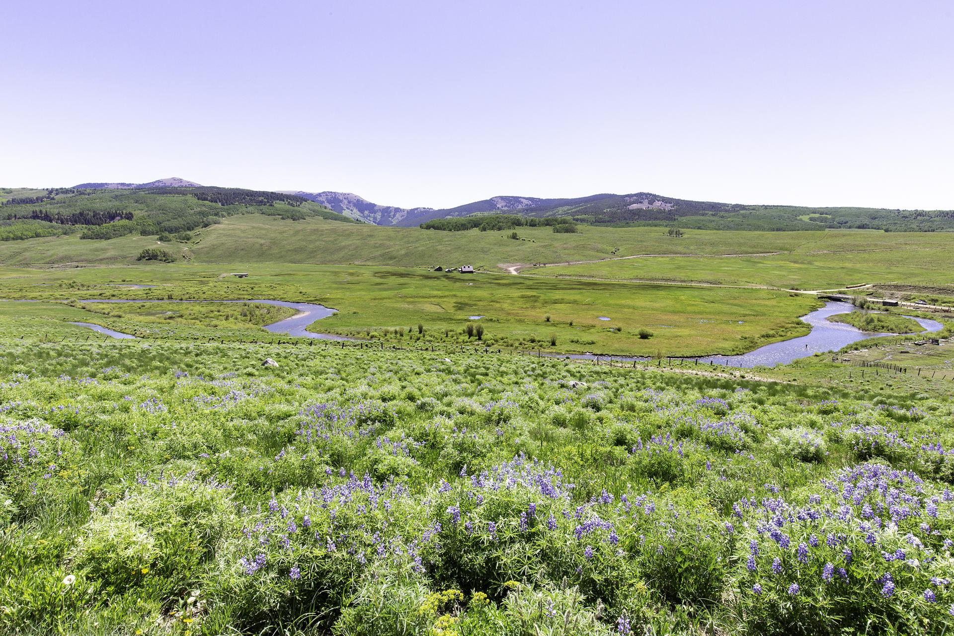 A wide green meadow with purple flowers, a winding river, and distant mountains.
