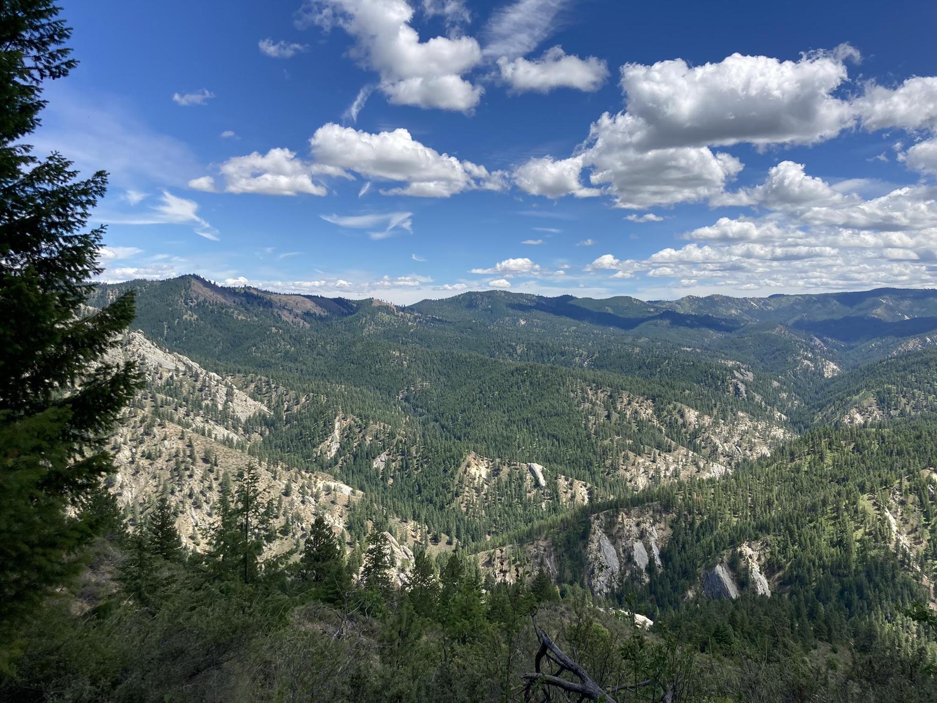 Expansive view of forested mountains and deep valleys under a bright, cloudy sky.
