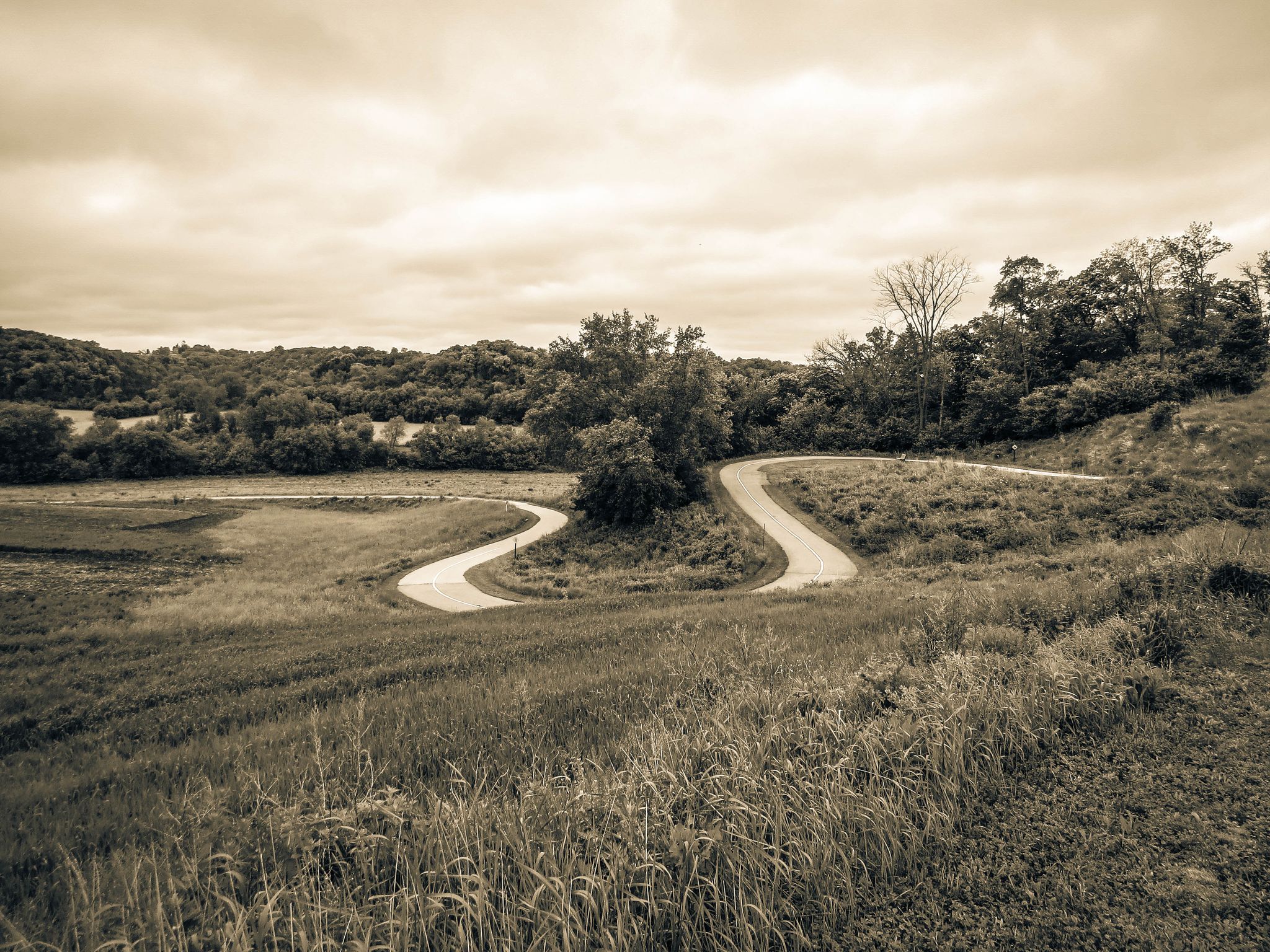 Sepia-toned image of a winding path through grassy hills and trees under a cloudy sky. - Trout Run Trail