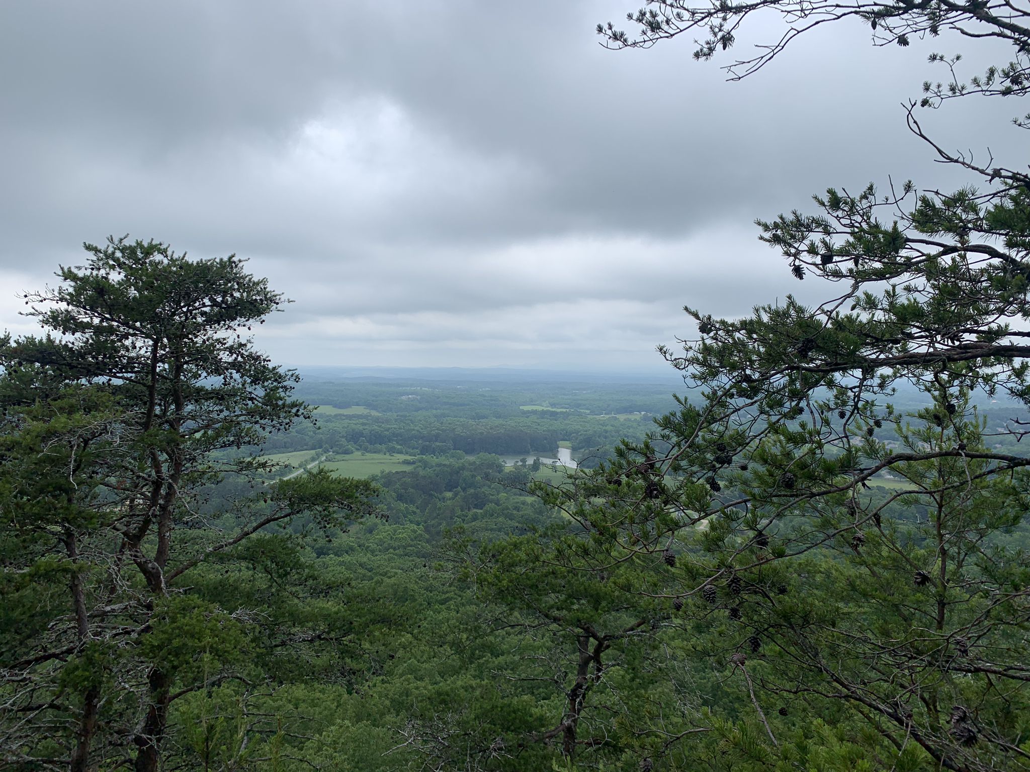 A panoramic view of a vast green forest under a cloudy sky. - Indian Seats, Ridgeline, and Mountainside Trail Loop