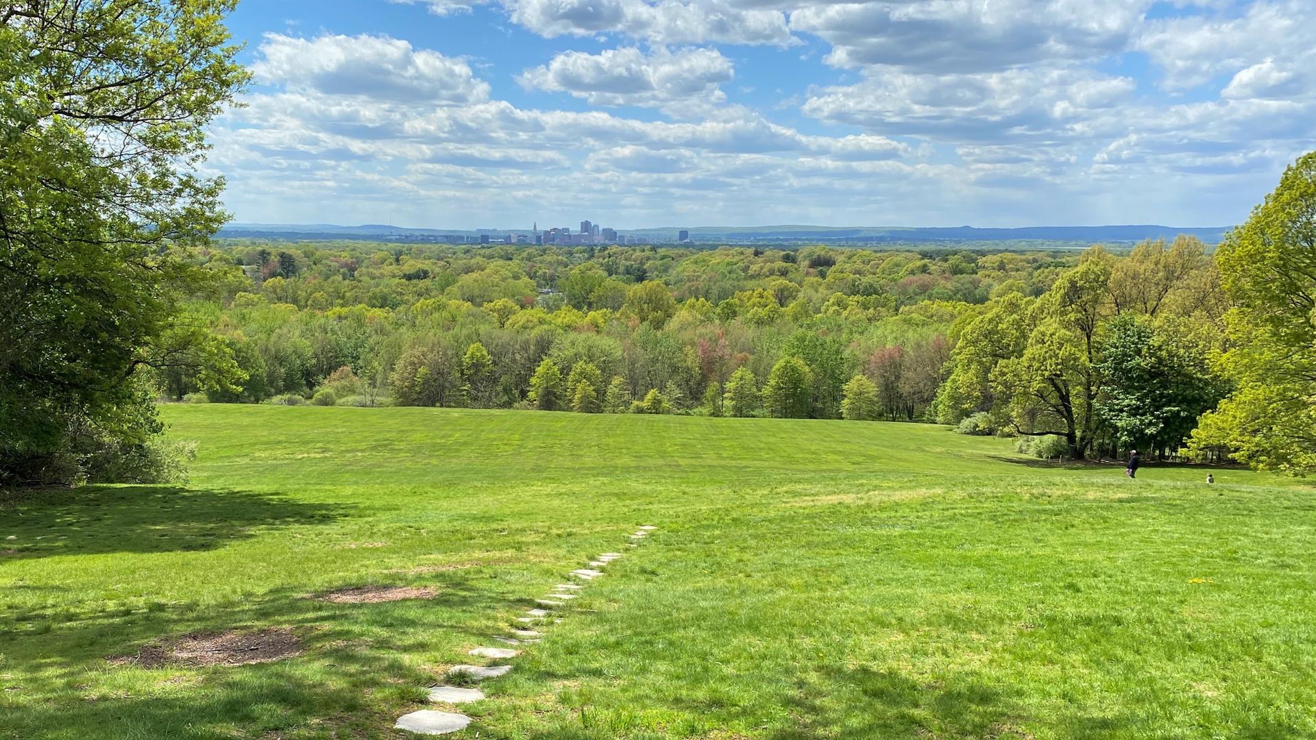 Wide green field overlooking a vast forest and distant city skyline under bright clouds.
