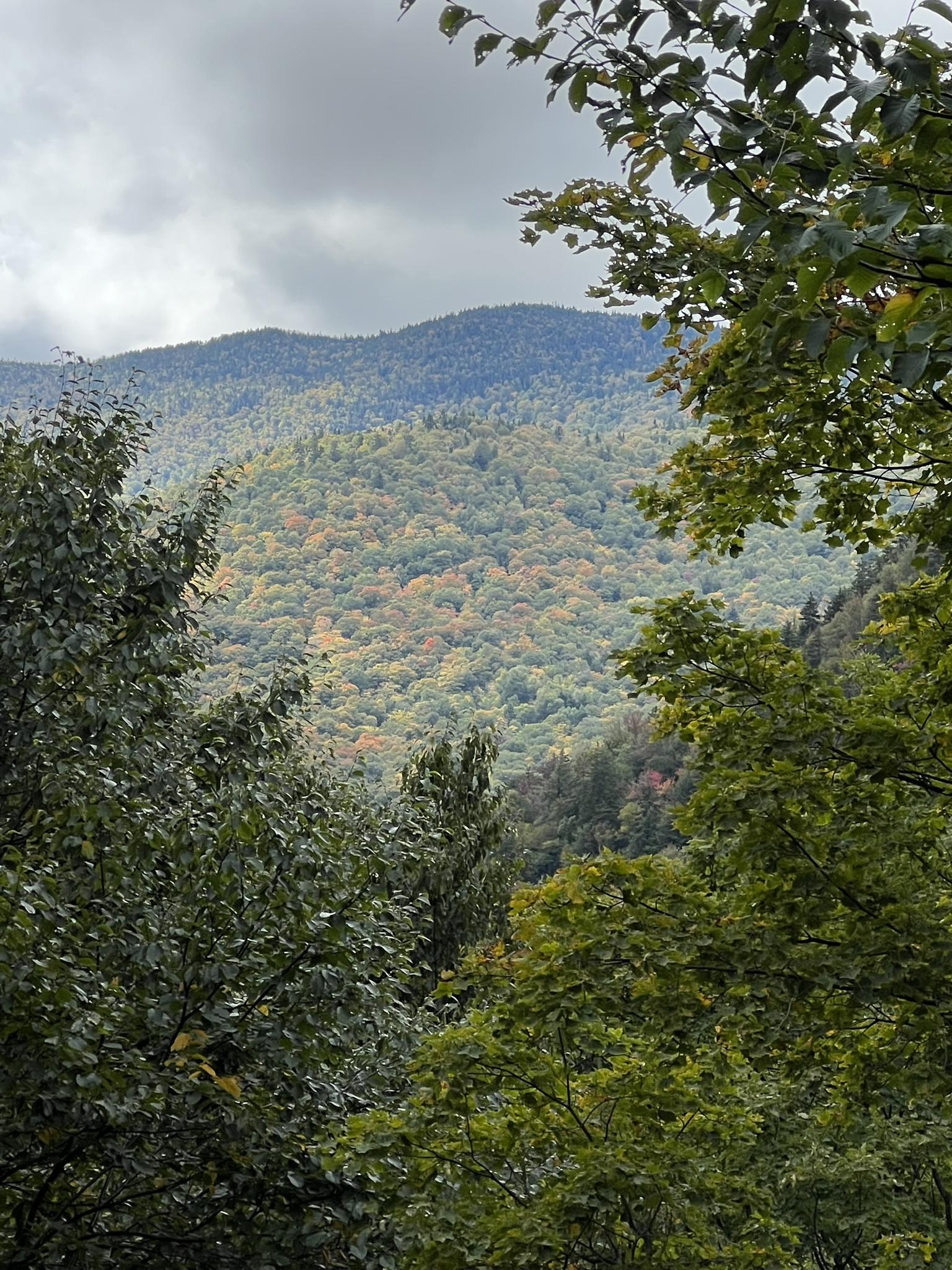 Overcast view of rolling forested mountains with hints of autumn colors.