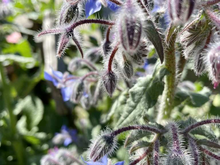 Fienile di Baura Rennradfahren und Rennradtouren komoot