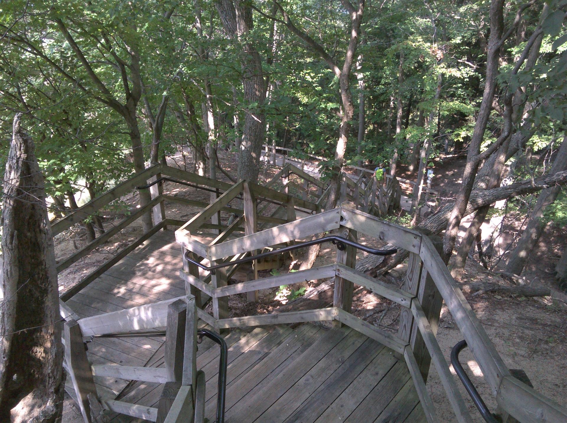 Winding wooden stairs with railings descend into a lush green forest.