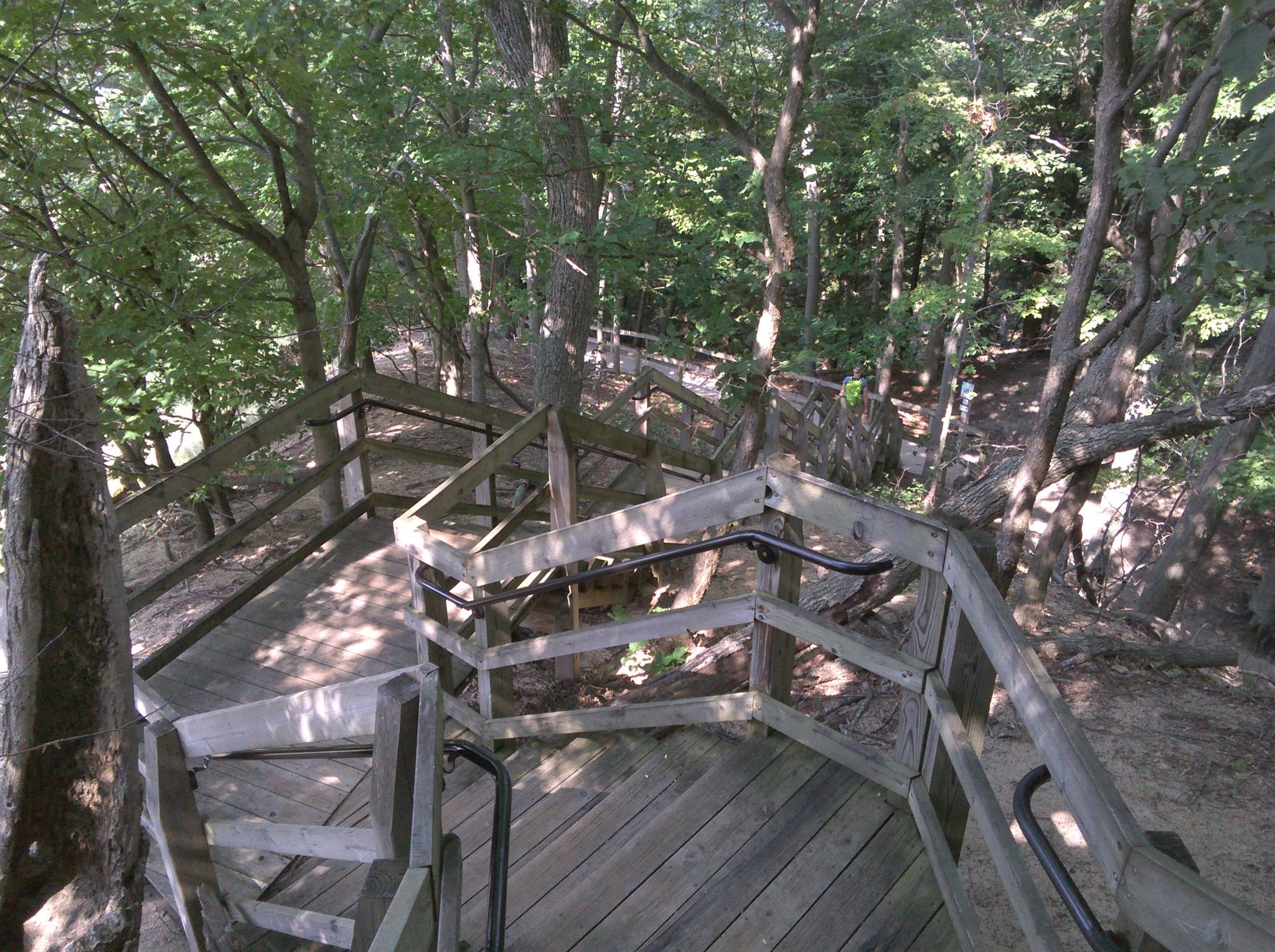 Winding wooden stairs with railings descend into a lush green forest. - North Ottawa Dunes South Loop
