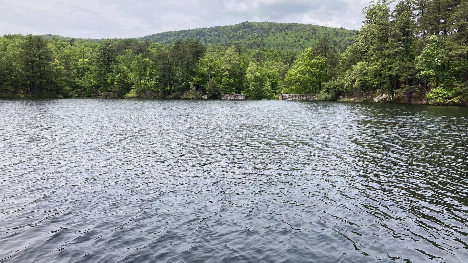 Wide view of a rippling lake with a lush green forest in the distance.