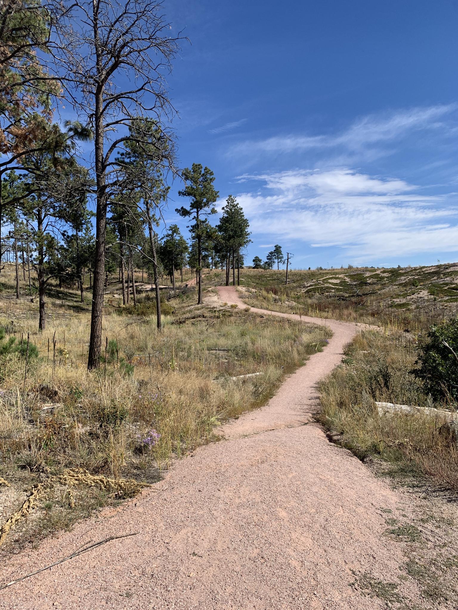A winding dirt path ascends through dry grass and scattered pine trees.