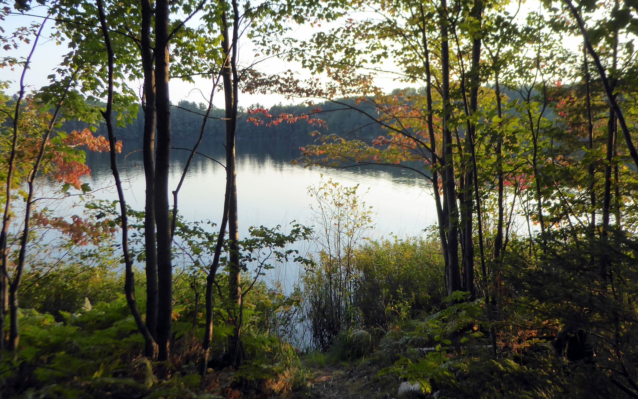 Calm lake viewed through sunlit trees with autumn foliage. - Bruno's Run Trail