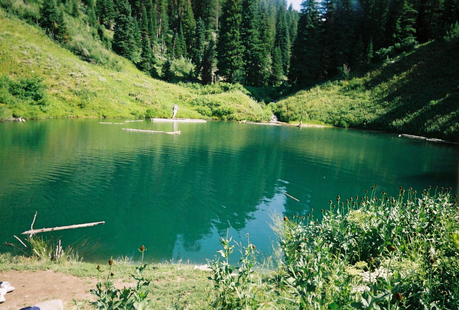 A serene green mountain lake surrounded by grassy slopes and pine trees.