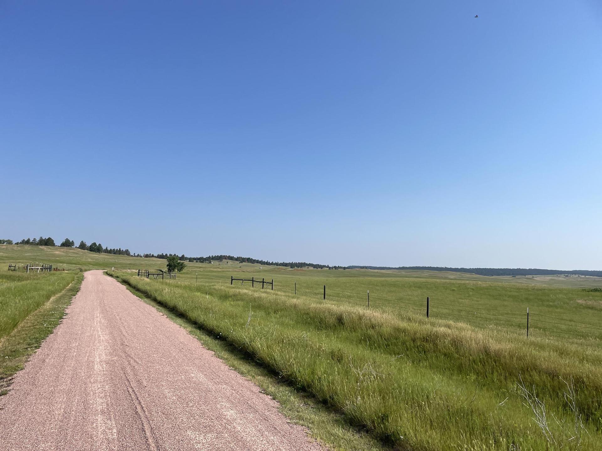 A long dirt road winds through bright green fields under a clear blue sky.
