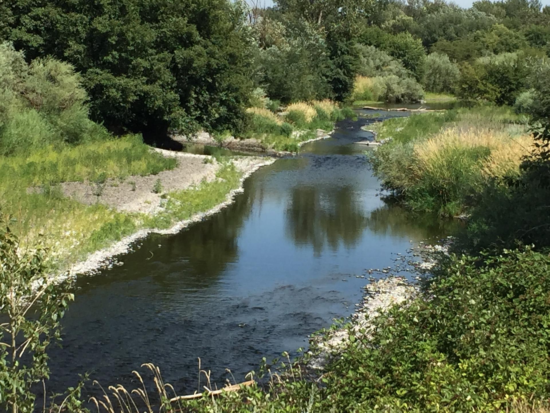 A winding river flows through a lush green landscape under bright daylight.