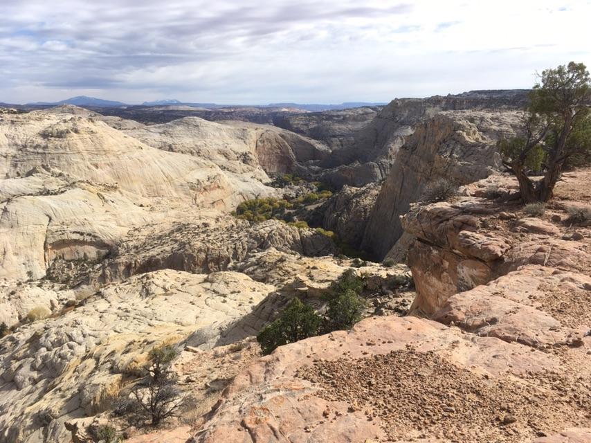 Wide view of a vast, rocky canyon under a cloudy sky.