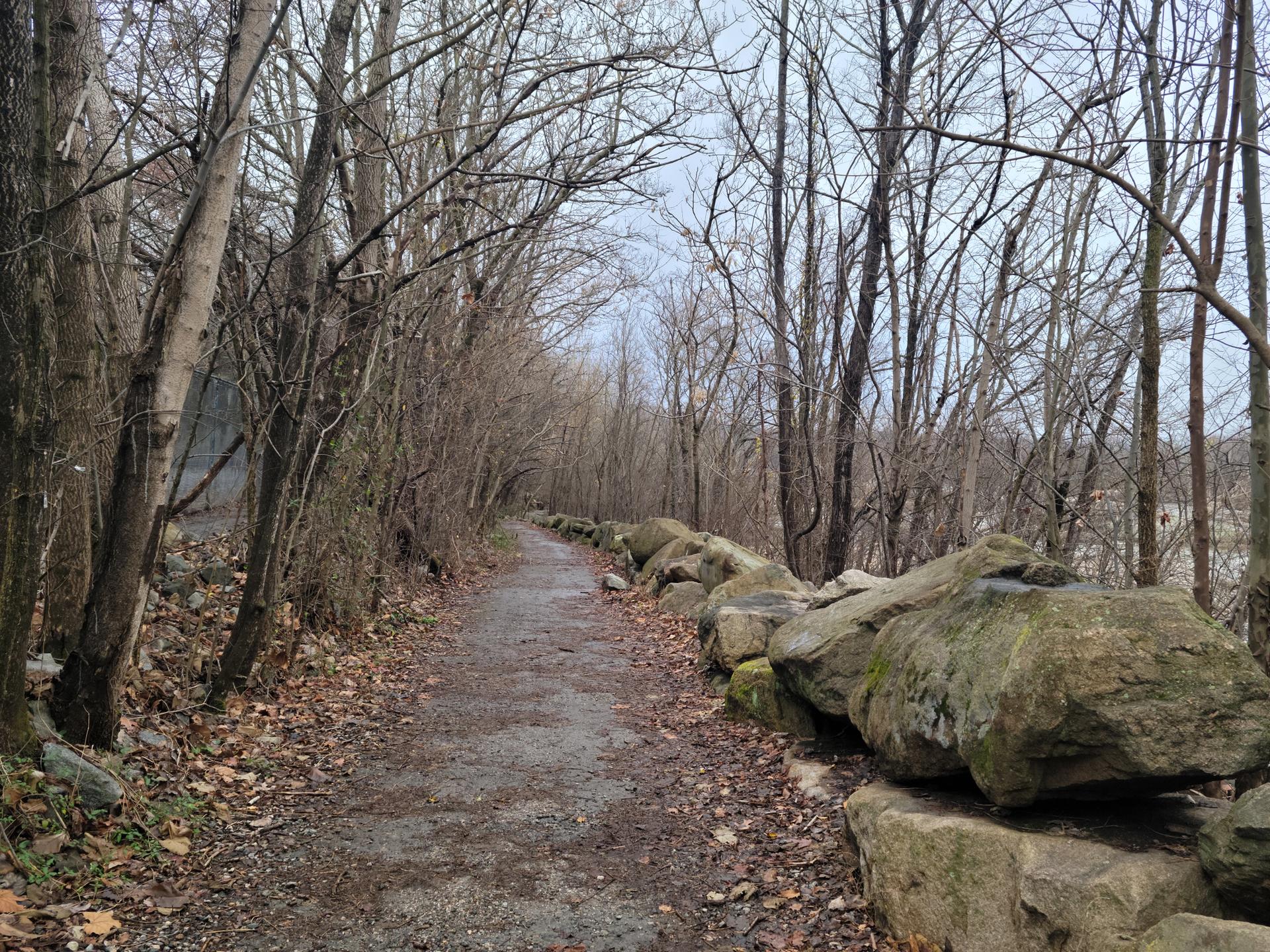 A dirt path winds through bare trees and a stone wall.