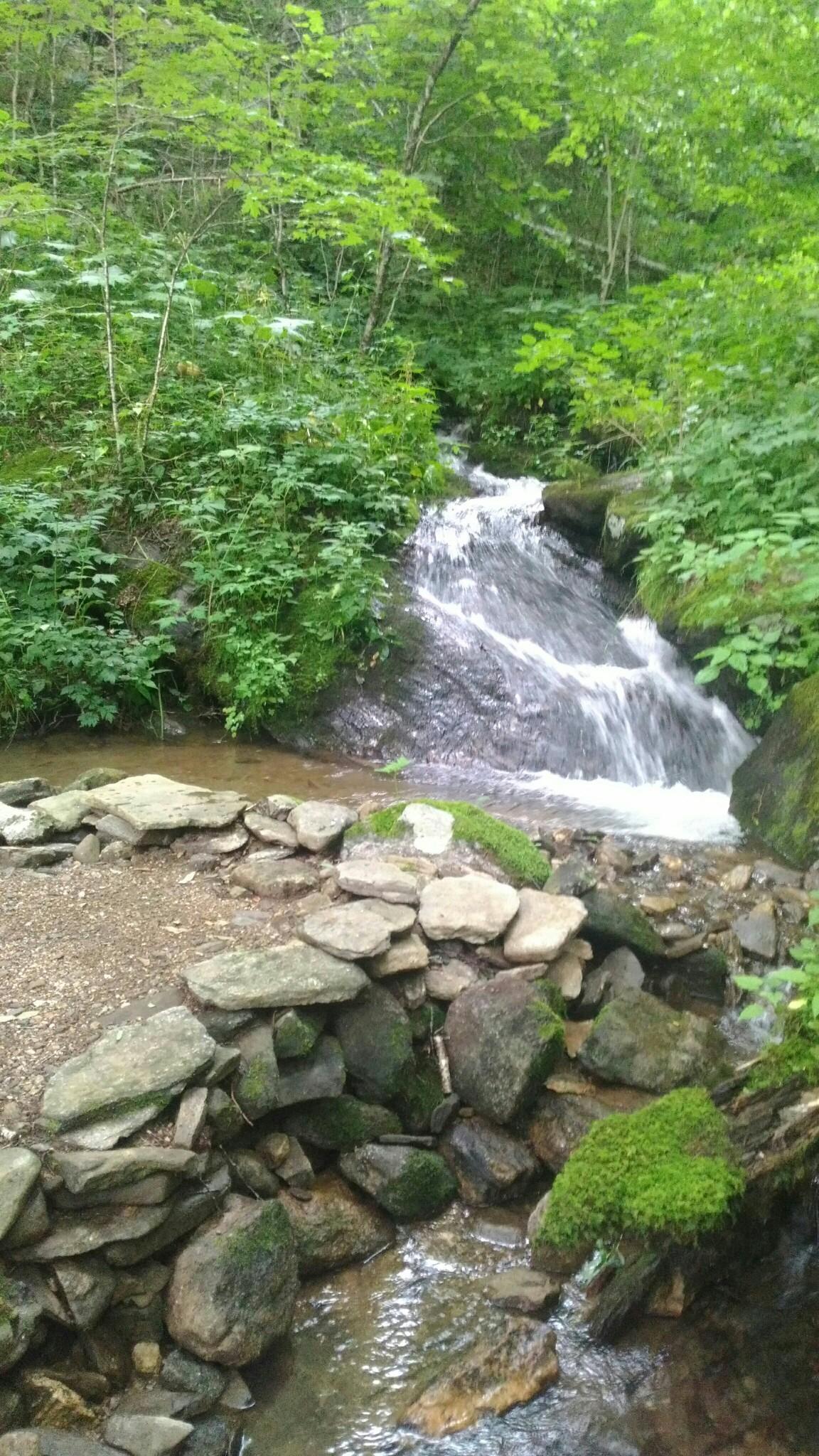 Small waterfall cascading into a rocky stream in a lush green forest.