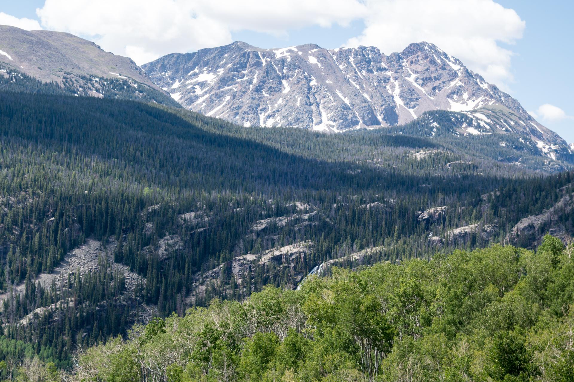 Majestic snow-dusted mountains overlook a vast, sunlit evergreen forest.