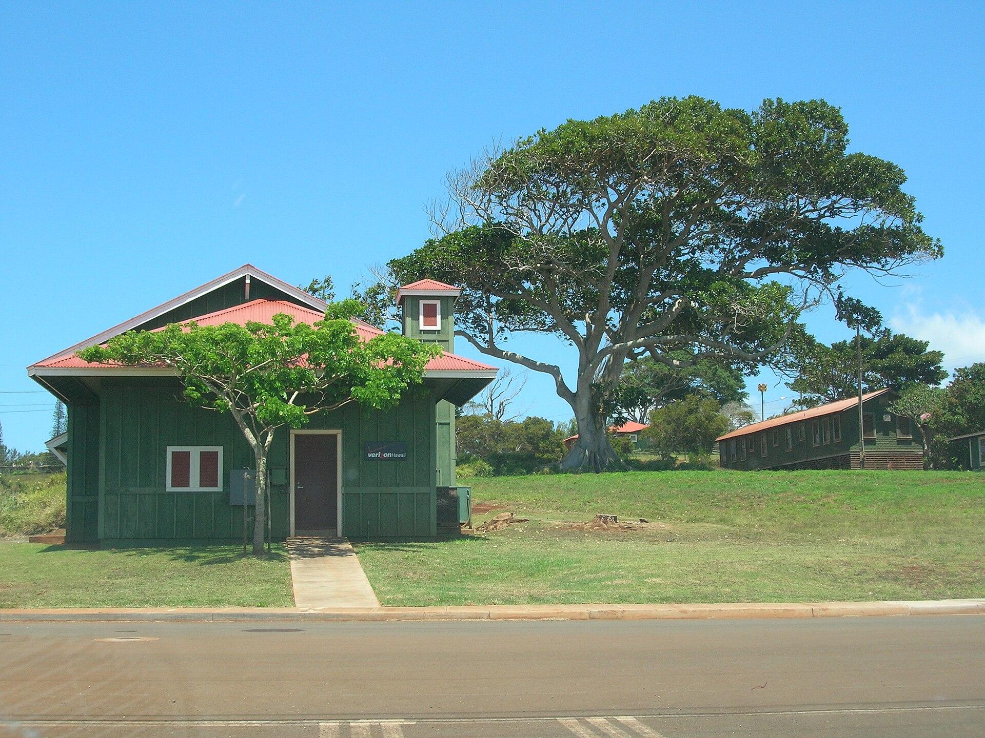 A green building, large tree, and distant structure on a sunny, clear day.