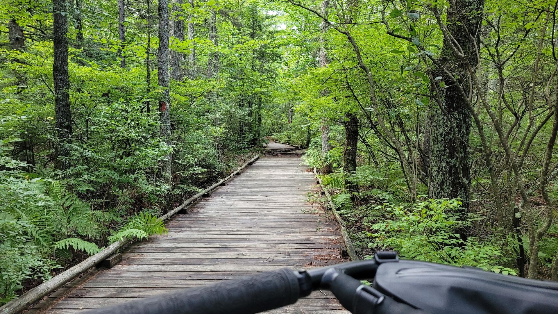 A wooden boardwalk winds through a lush green forest, seen from bike handlebars.