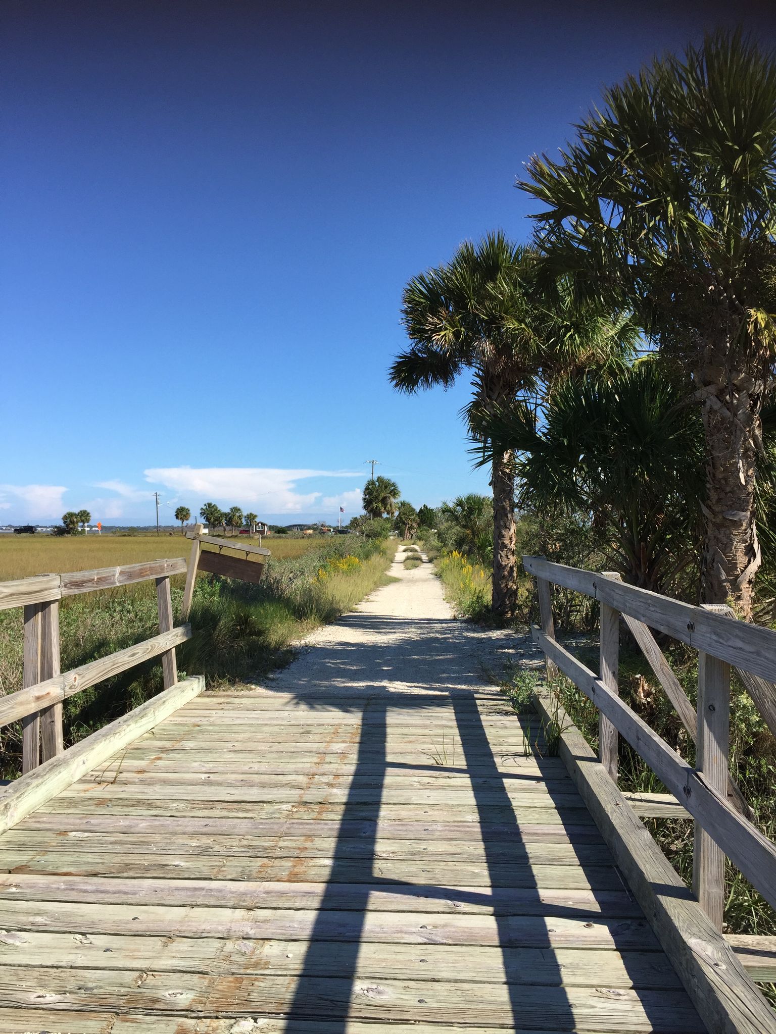 A wooden boardwalk leads to a sunny dirt path lined with palm trees. - McQueen's Island Historic Trail