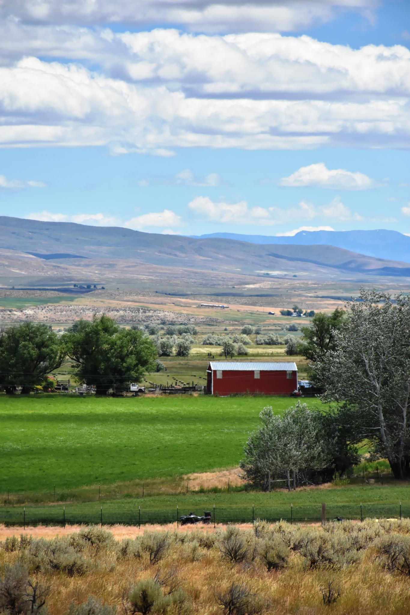 Red barn in a vibrant green field with trees and distant hills.