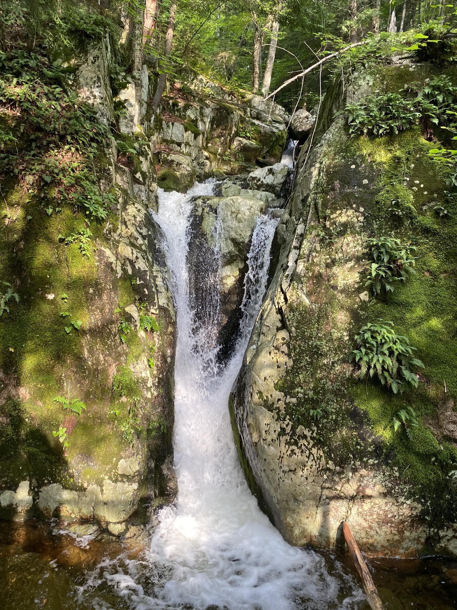 Narrow waterfall plunging between mossy rock walls in a forest.