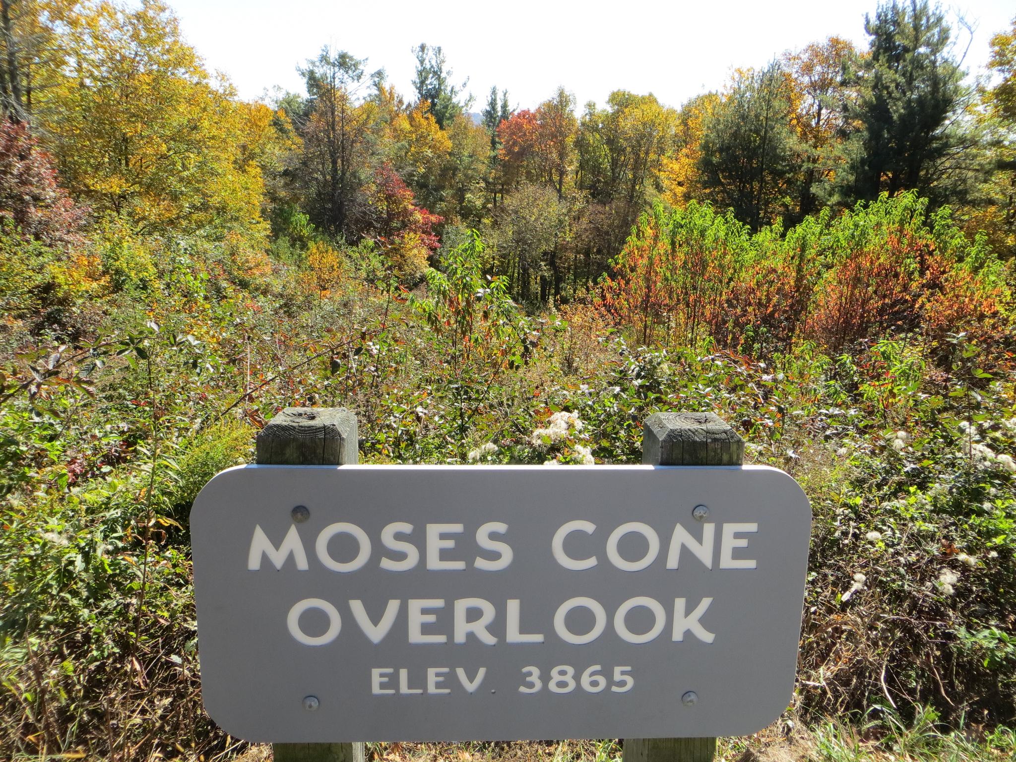 A gray sign in front of a vibrant autumn forest on a sunny day.