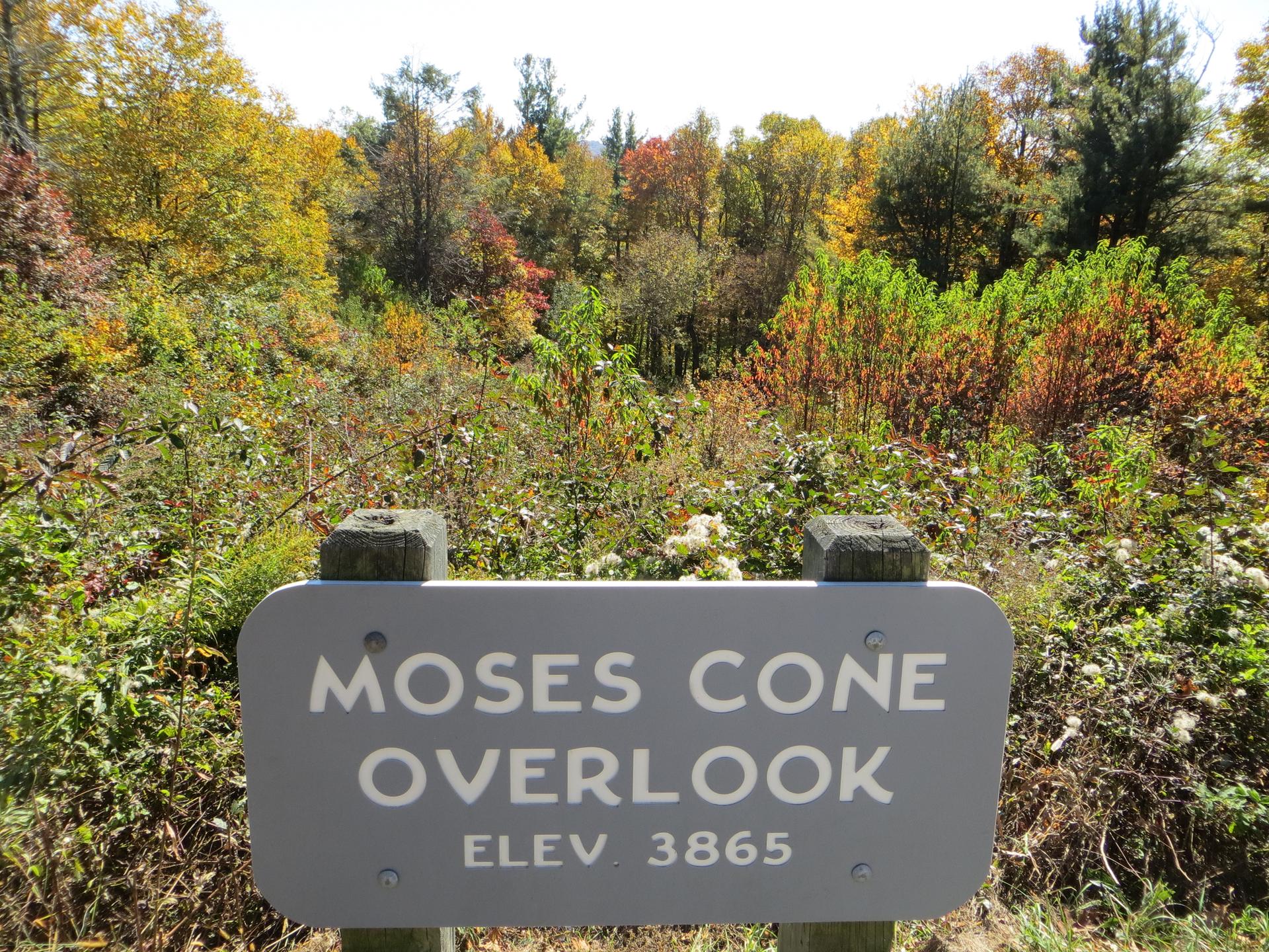 A gray sign in front of a vibrant autumn forest on a sunny day.
