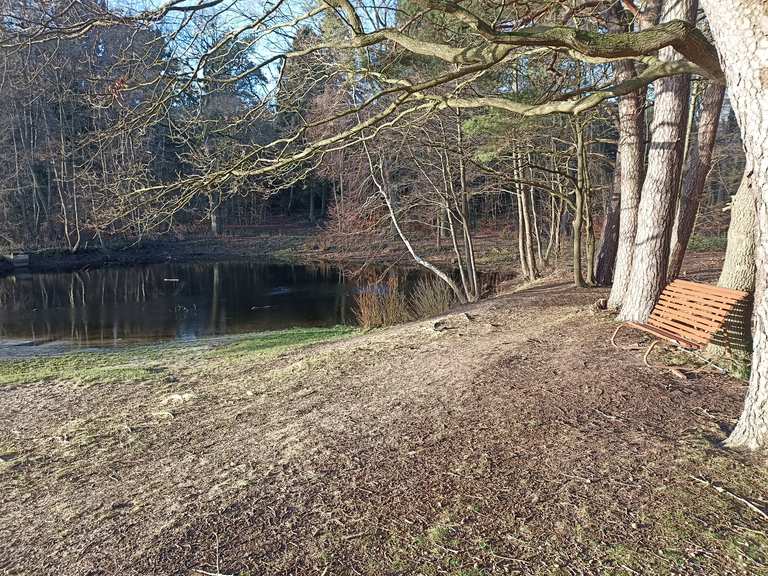 Am Kösterbecker See Wanderungen und Rundwege komoot