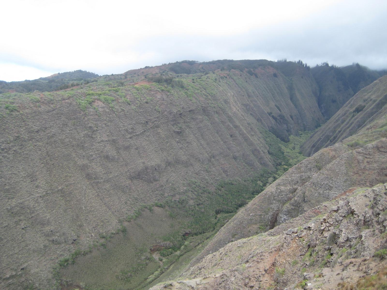 A deep, verdant valley with steep, rocky slopes under an overcast sky.