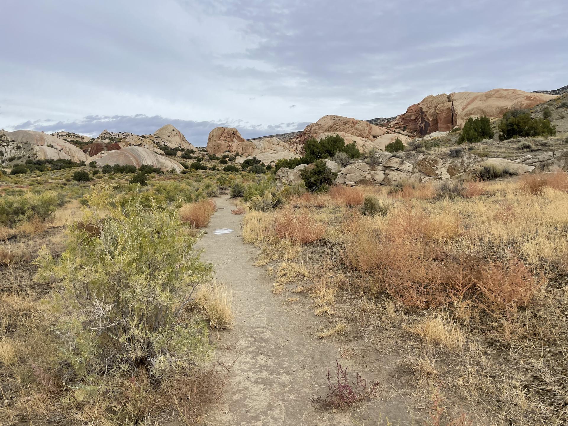 Dirt path through arid landscape with low brush and rock formations under cloudy sky.