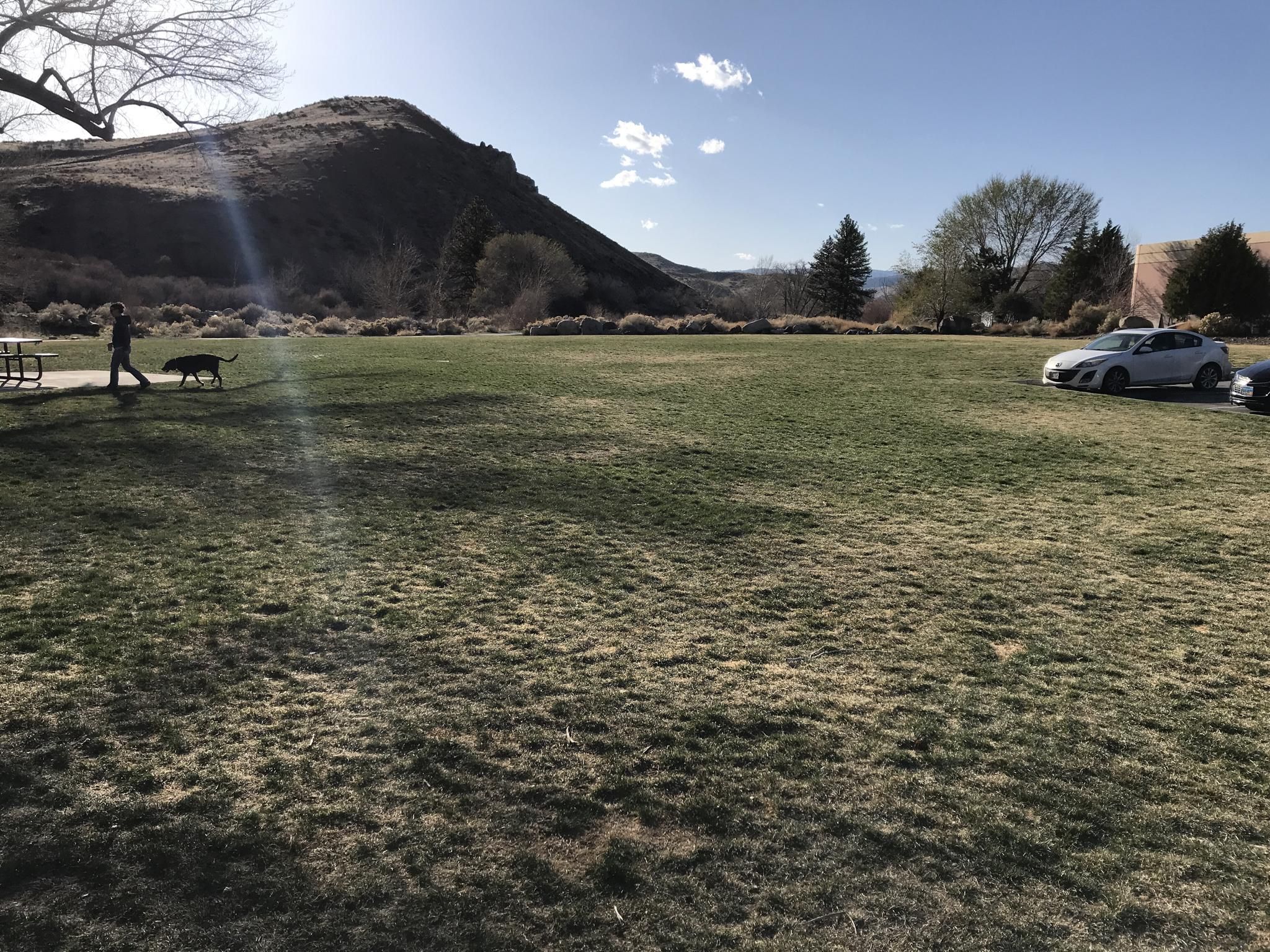 A person walks a dog across a sunny grassy field near hills and cars. - Tom Cooke and Steamboat Ditch Loop
