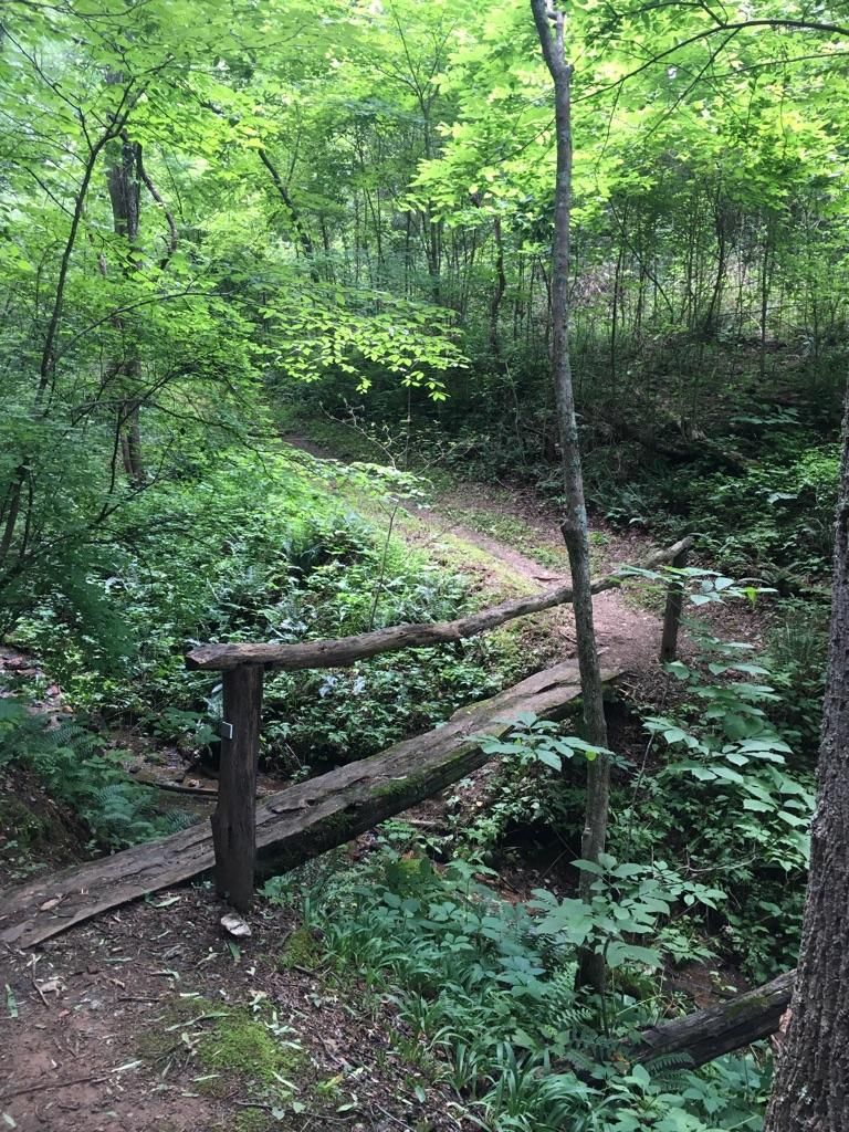 A rustic wooden footbridge crosses a dirt path through a lush green forest. - Smart View Historical Cabin – Floyd Family Campground loop from Smart
