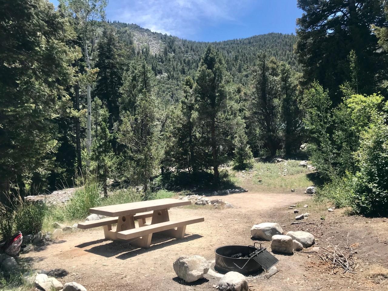 A wooden picnic table and fire pit in a sunny forest campsite.