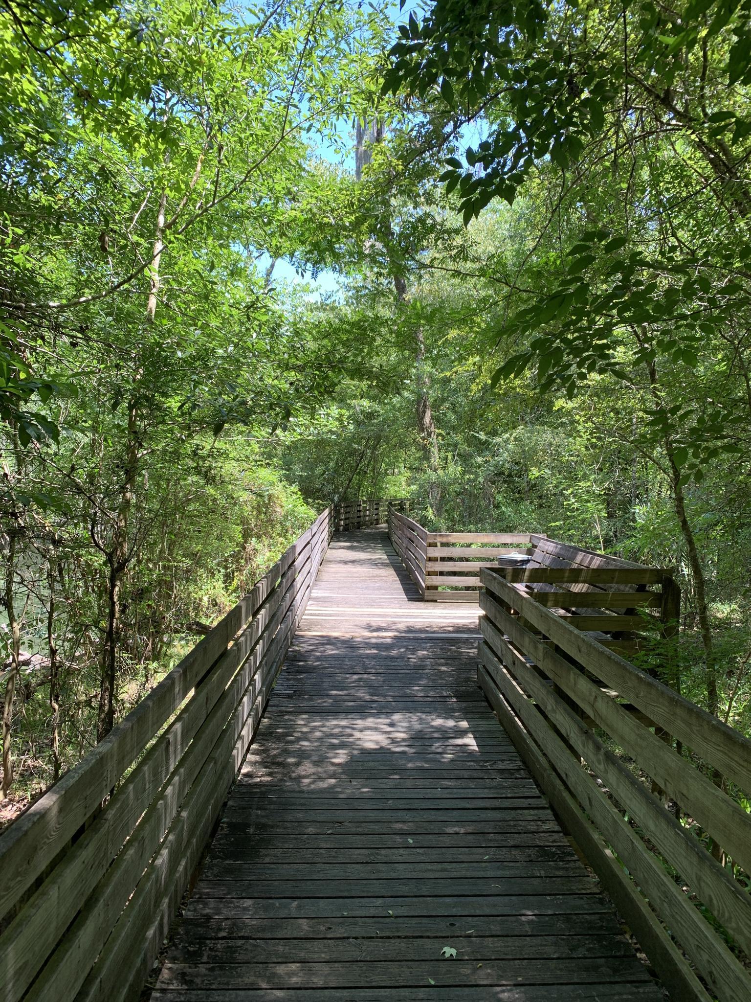 A sunny wooden boardwalk winds through a lush green forest with dappled light.