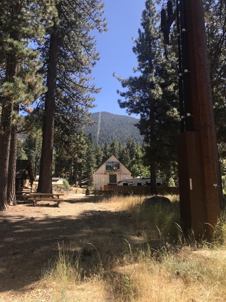 A wooden building in a pine forest with a distant mountain.