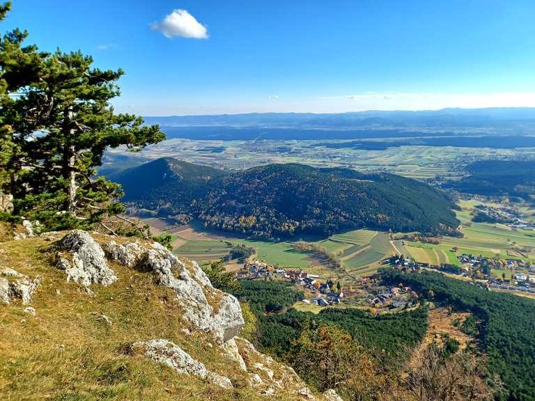 Hubertushaus (Hohe Wand): Wanderungen und Rundwege | komoot