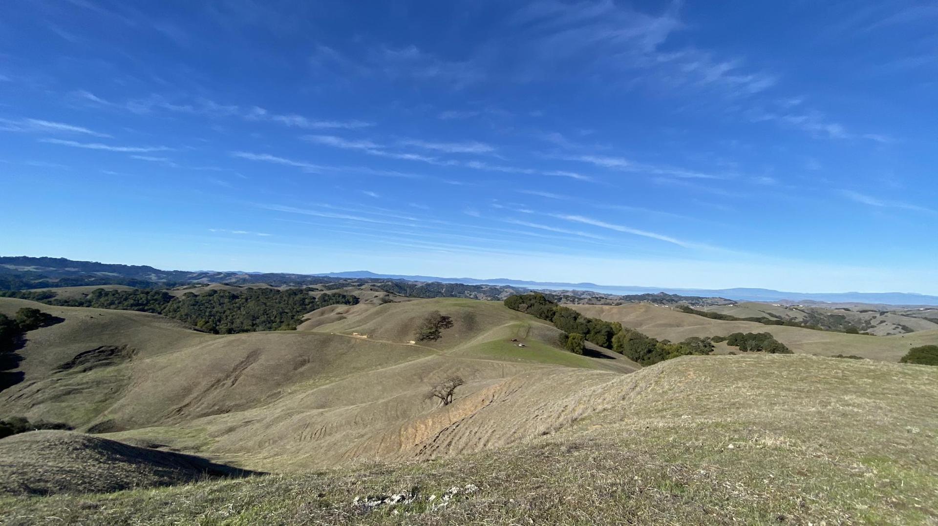 Expansive view of rolling green and brown hills under a clear blue sky.