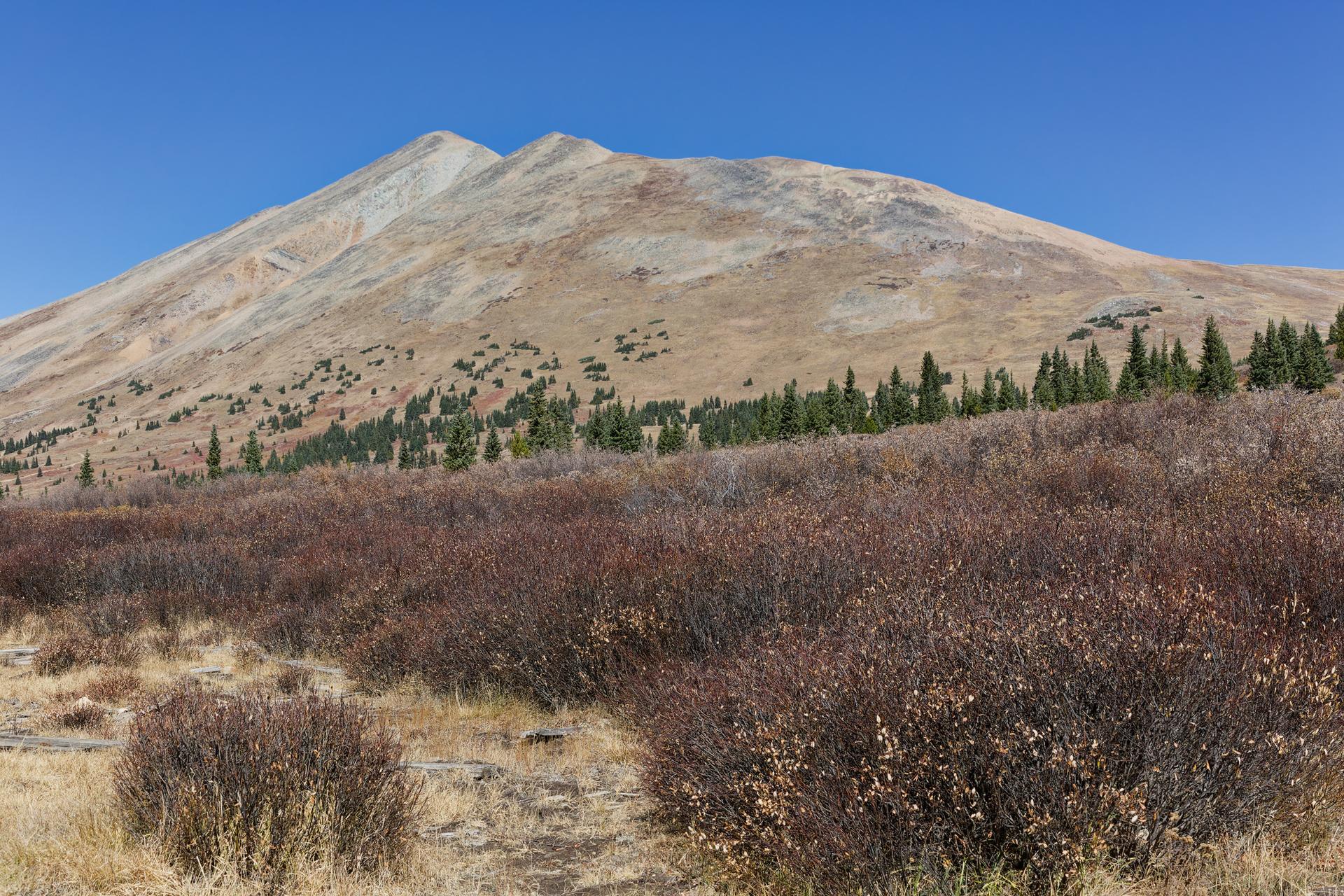Sunny mountain landscape with reddish bushes, evergreen trees, and a clear blue sky.