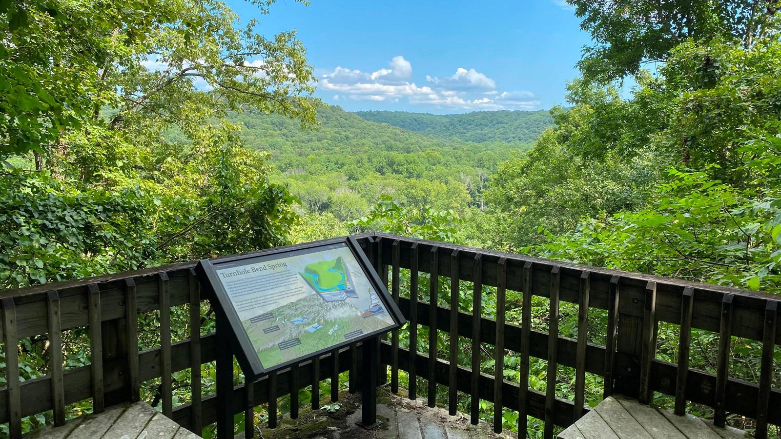 Wooden observation deck with interpretive sign overlooking a vast, sunlit green forest.