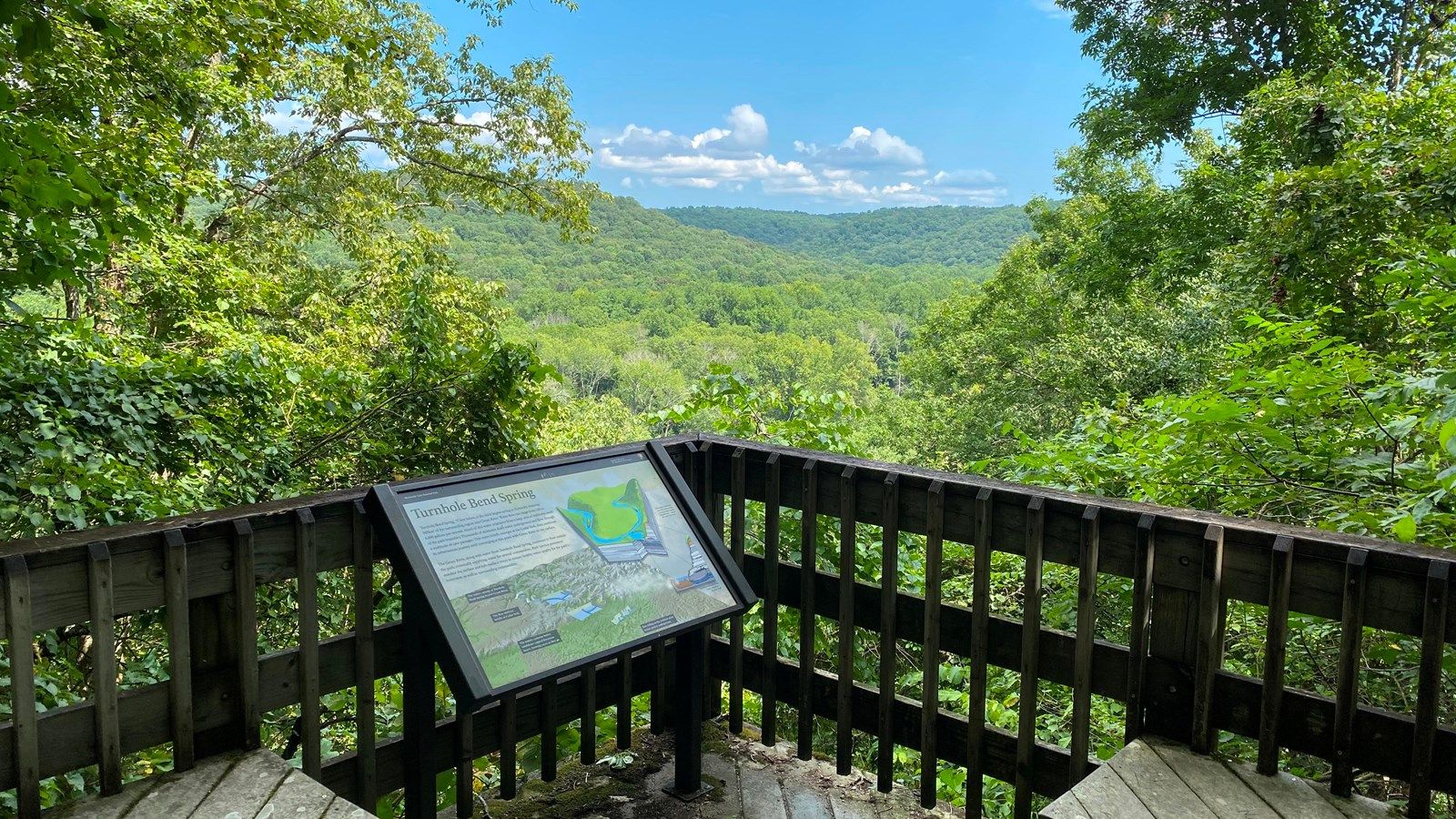 Wooden observation deck with interpretive sign overlooking a vast, sunlit green forest. - Turnhole Bend Trail