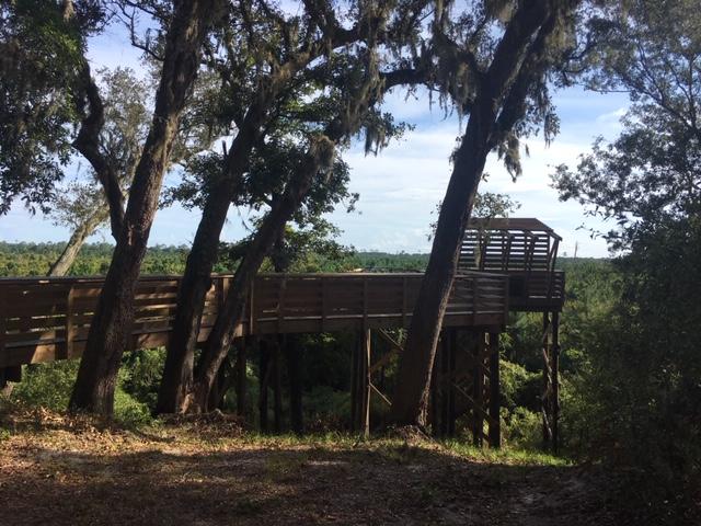 Elevated wooden boardwalk and observation deck among trees, overlooking a forest.