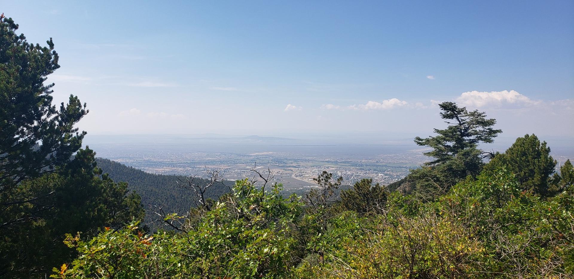 Panoramic view of a distant town from a forested mountain overlook on a clear day.