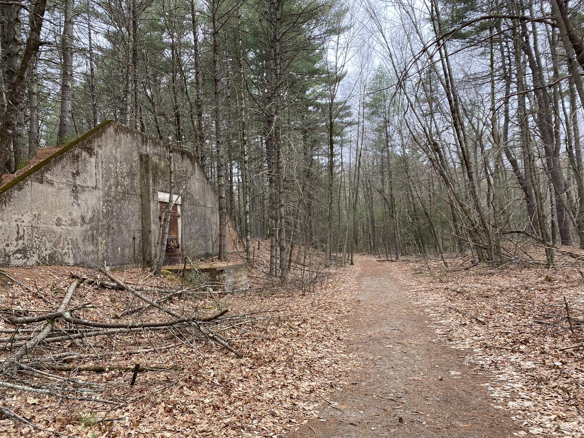 A dirt path winds past an old concrete structure in a dense, bare forest.
