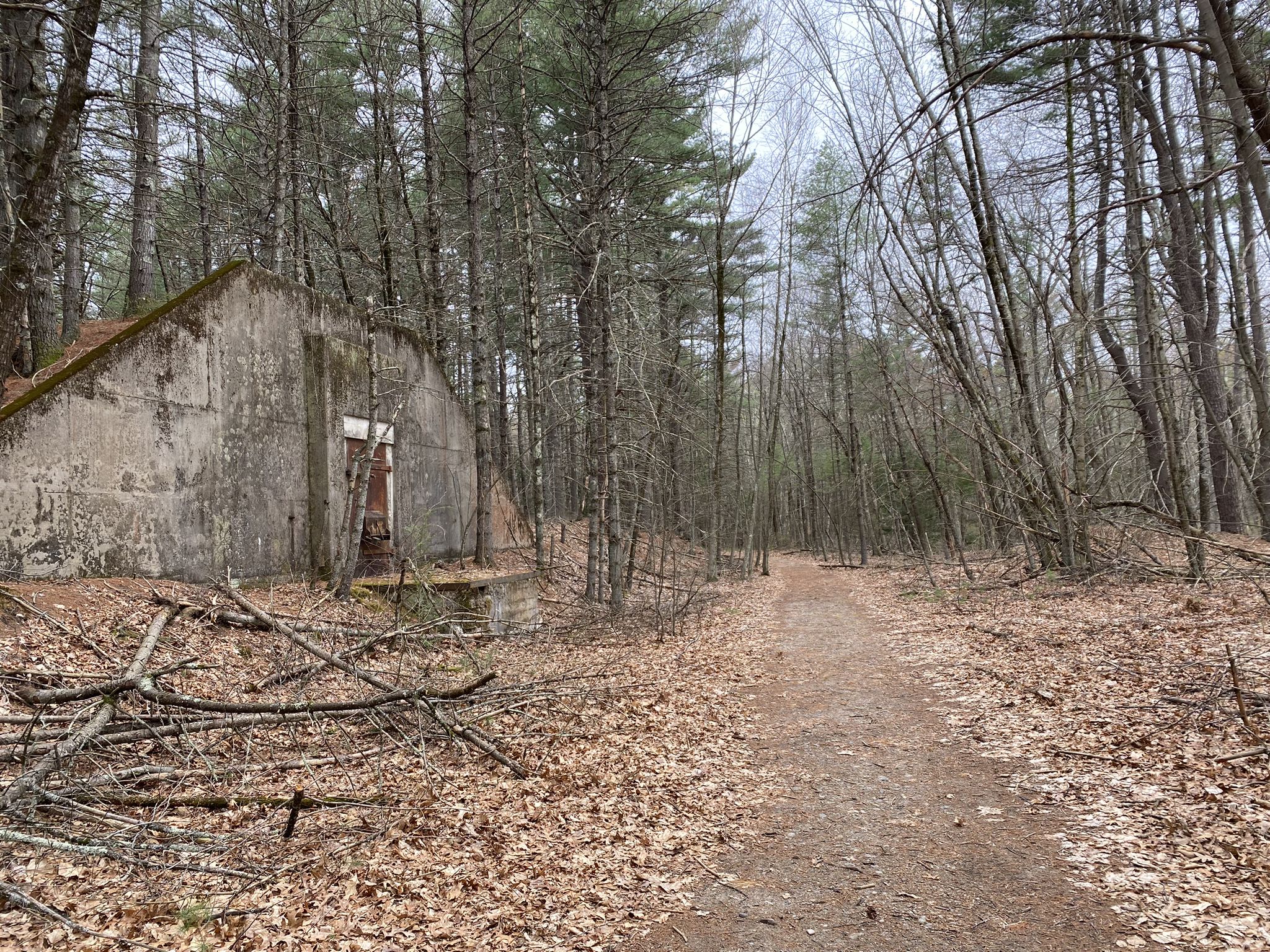 A dirt path winds past an old concrete structure in a dense, bare forest. - Assabet River Dam loop from Maynard