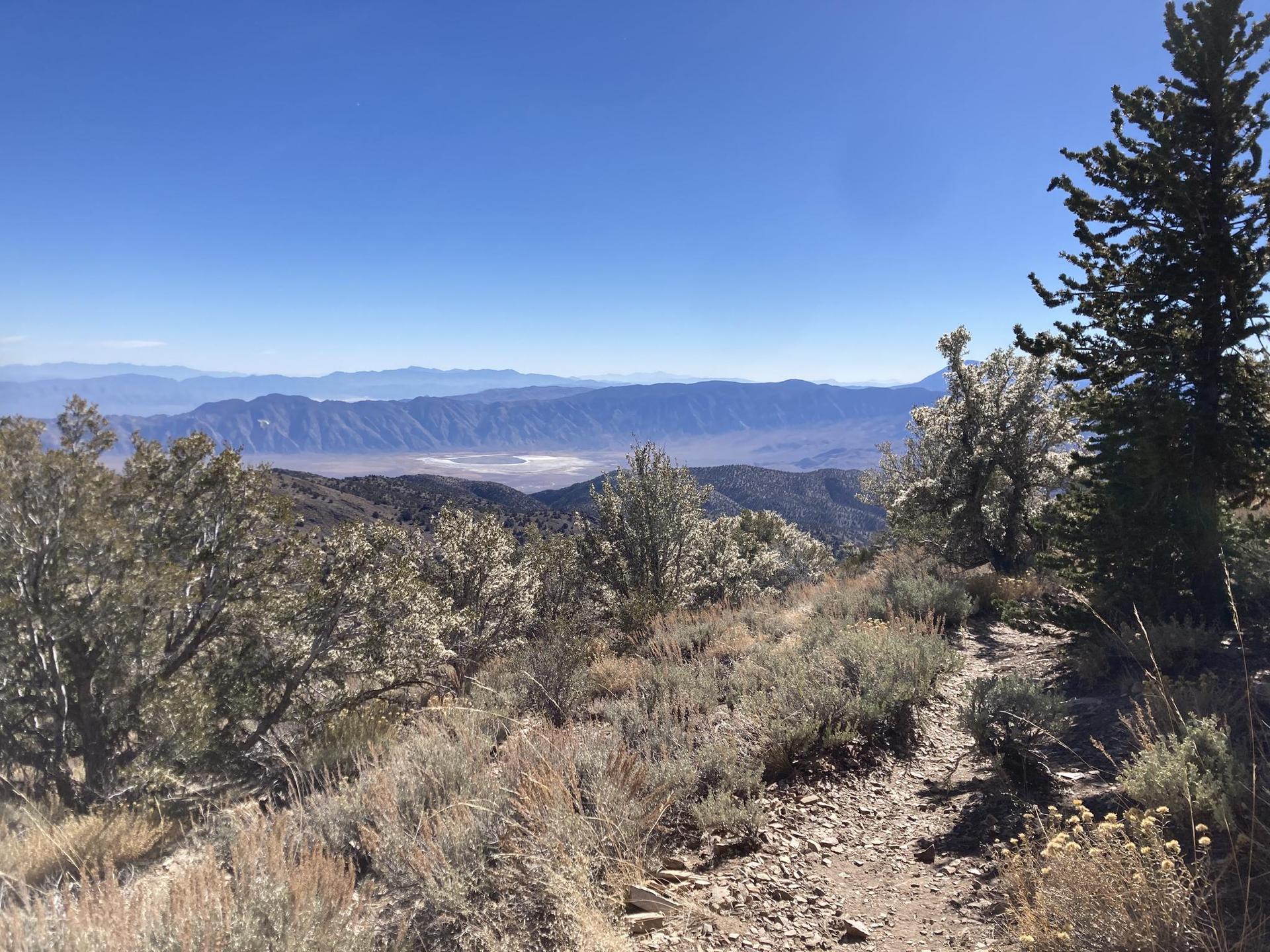 A dirt trail winds through sparse trees with a vast mountain valley beyond.