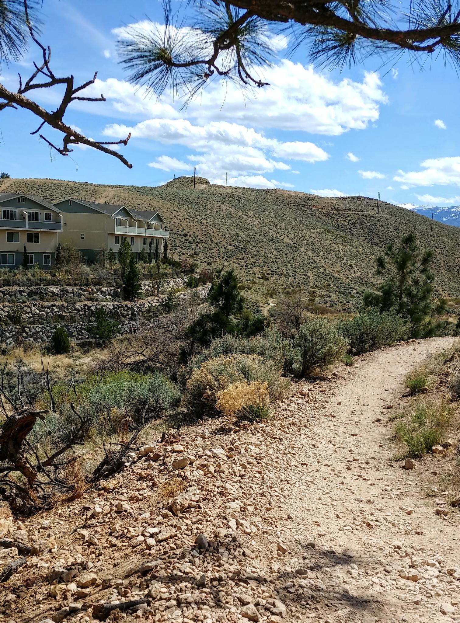 A dirt path winds through arid hills with sparse brush under a bright, cloudy sky.