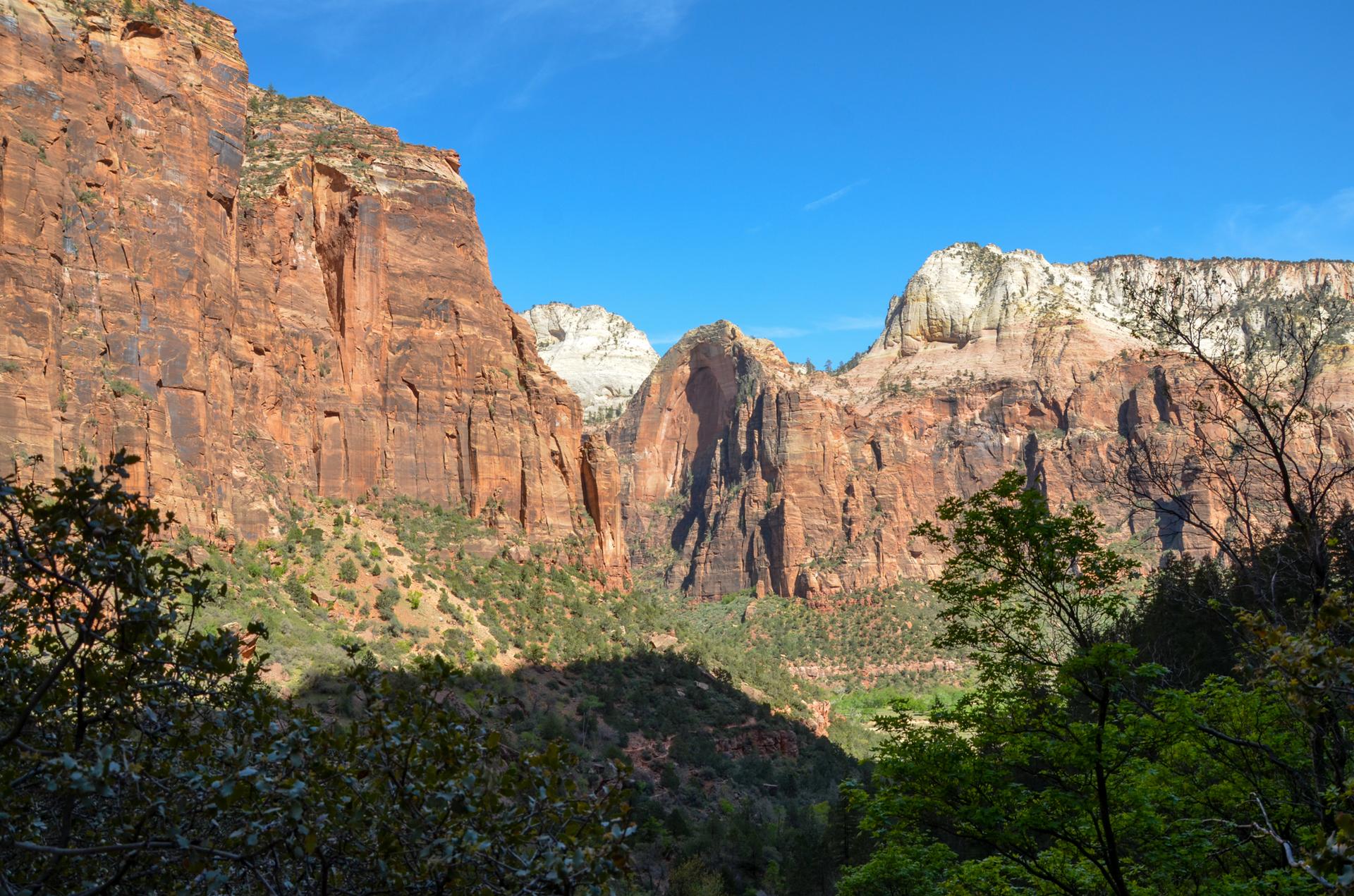 Towering red rock cliffs and green trees under a bright blue sky.