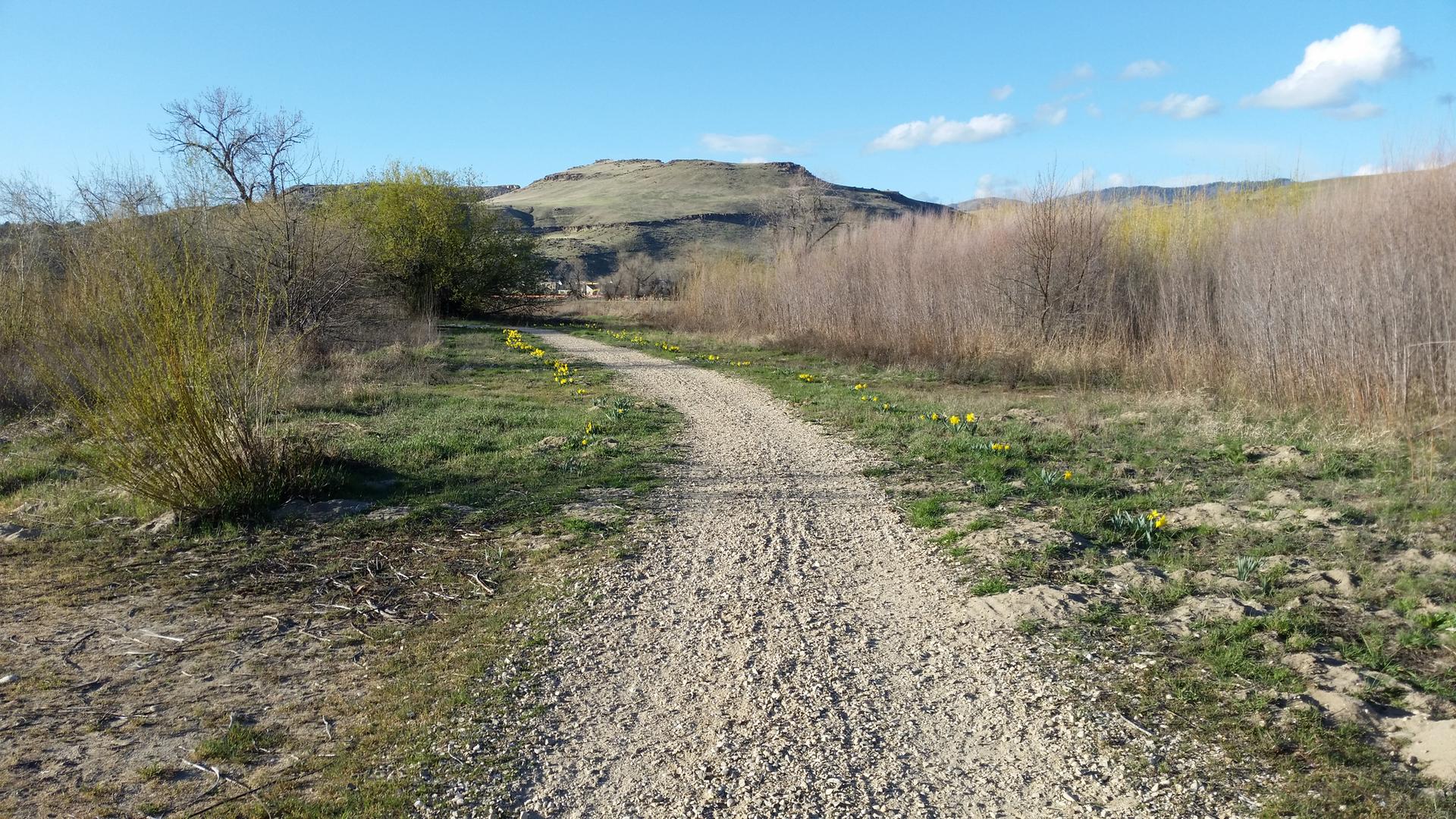 Gravel path with yellow flowers, surrounded by bushes and distant hills under blue sky.