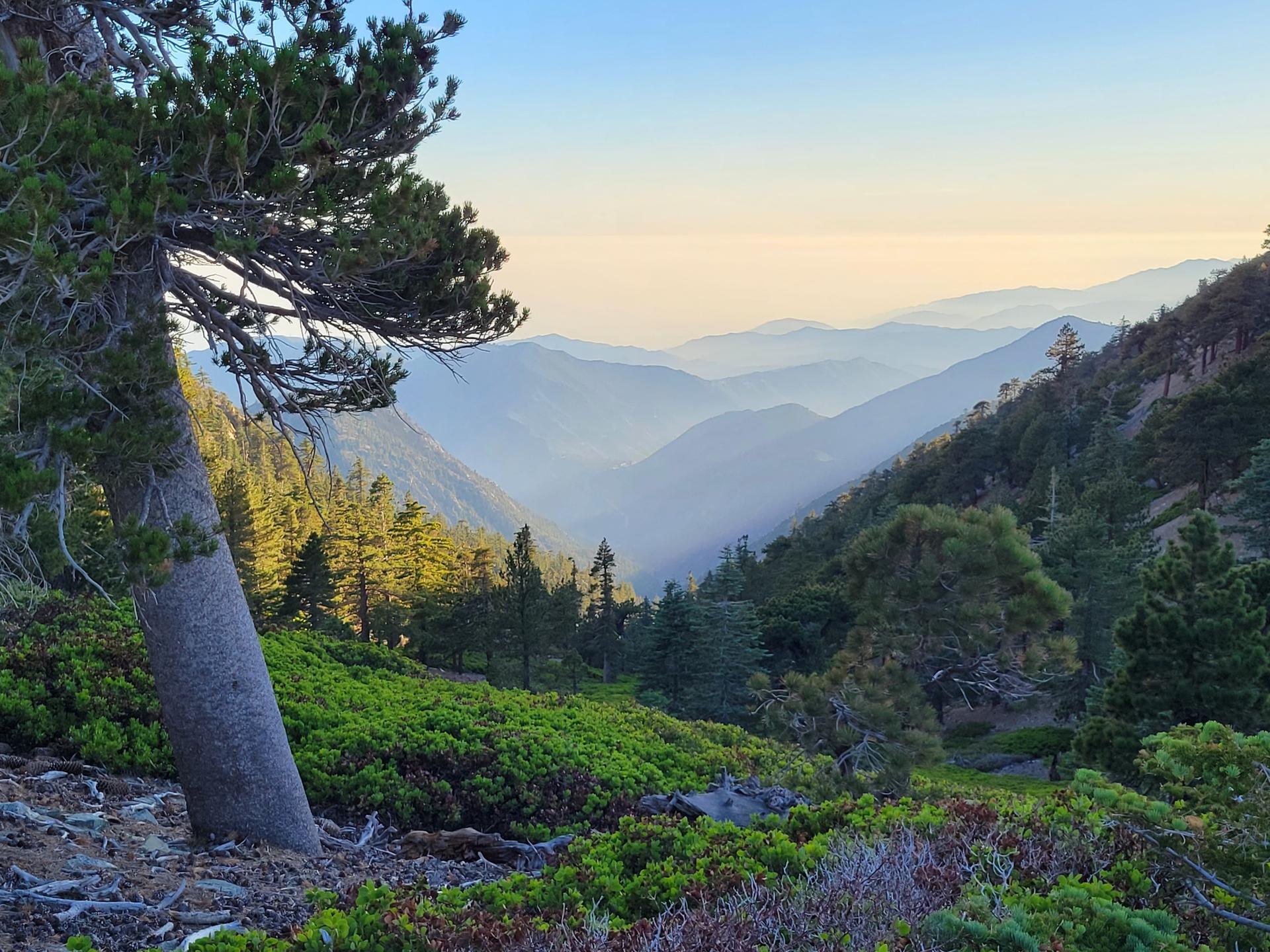 Lush green mountain valley with layered peaks and warm golden hour light.